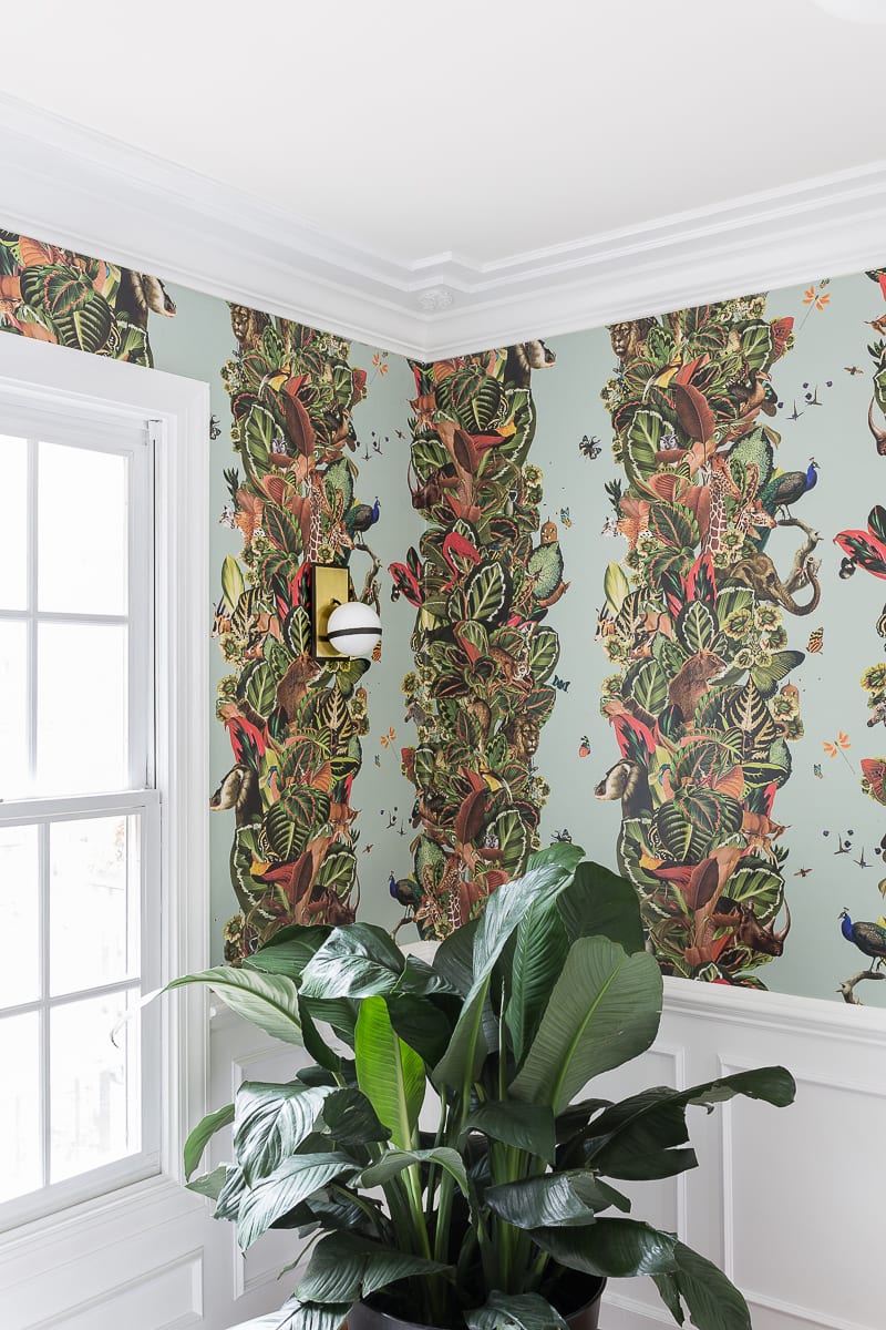 Milton and King, wallpaper, Viva Tropicana, kelly wearstler, pillow, striped rug, target, miles redd, jungle wallpaper, bohemian wallpaper, large scaled wallpaper, 2018 fall one room challenge, jeweled interiors, jewel Marlowe, 