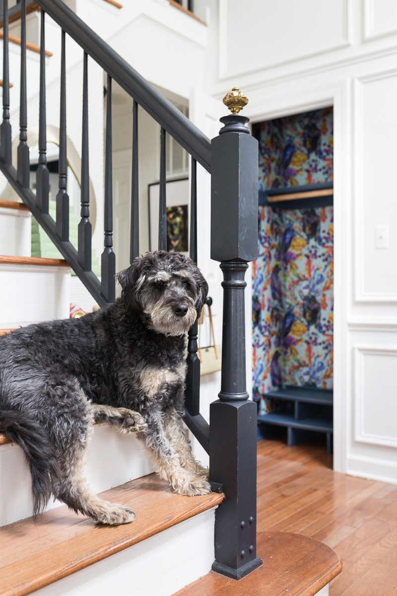 CHECK OUT this hall closet makeover, Ravenswood wallpaper, smith and Honig, closet refresh, built in shoe cubby, removable wallpaper, wallpapered closet, labradoodle